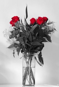 bouquet de fleurs noir et blanc rouge rose roses rouge photo photographie