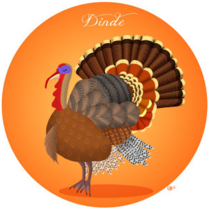 calendrier de l'avent illustré mignon noël bûche de noël christmas cadeaux amour dinde turkey thanksgiving