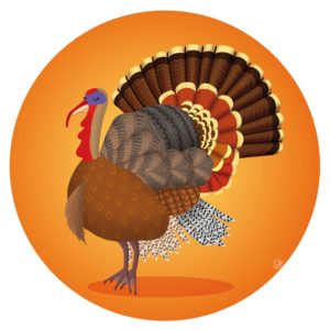 dinde de noël turkey christmas thanksgiving
