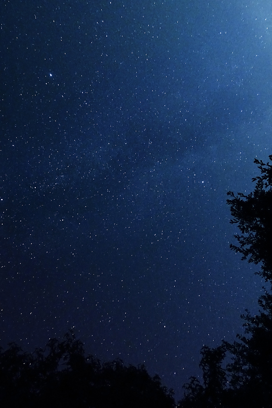 ciel nocturne nuit étoile ciel voie lactée photo de nuit photographie
