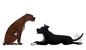 bande dessinée personnage faire part de naissance bébé mignon toutous chiens boxer staff staffordshire américain bull terrier