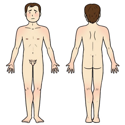 Illustration aide au langage document orthophonie logopédie corps humain homme