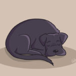 Illustration mignonne chien couché endormi