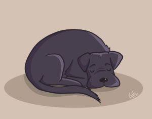 Illustration mignonne chien couché endormi