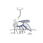 Le mauvais spot - bande dessinée BD humour moustiques piqures