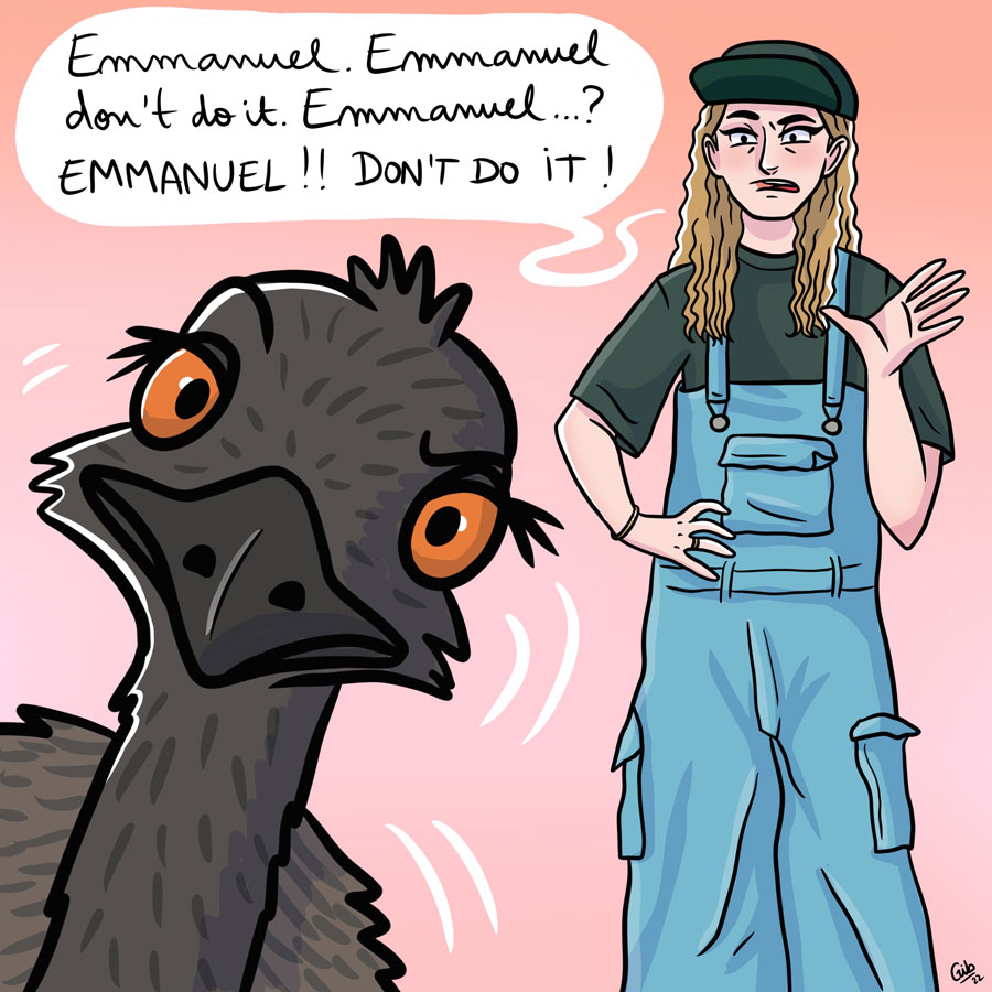 Illustration "Emmanuel don't do it!" - BD avec fermière et émeu (Gib, Marie Roumégoux illustratrice à Toulouse)