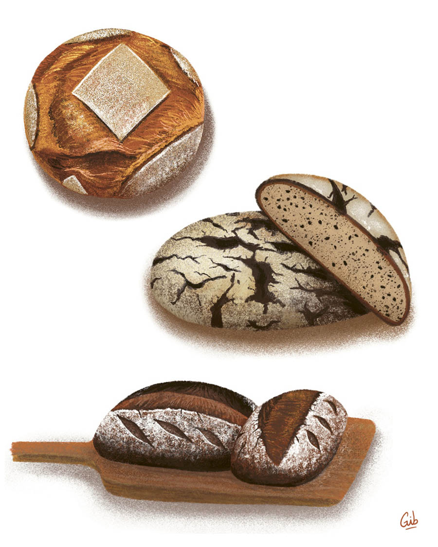 Illustrations façon crayonnés d'éléments de boulangerie, pains, moulin, gourmandises illustrés par Marie Roumégoux Gib